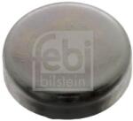 Febi Bilstein Protimrazová poistka FEBI BILSTEIN 02544 (02544)