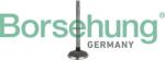 Borsehung Sací ventil Borsehung B19029 (B19029)