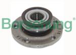 Borsehung Súprava ložísk kolesa Borsehung B15621 (B15621)