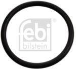 Febi Bilstein Tesnenie termostatu FEBI BILSTEIN 17970 (17970)