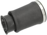 KAVO PARTS Vzduchová pružina, podvozok KAVO PARTS SAS-10017 (SAS-10017)