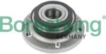 Borsehung Súprava ložísk kolesa Borsehung B15626 (B15626)