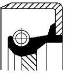 CORTECO Tesniaci krúżok kľukového hriadeľa CORTECO 12011464B (12011464B)