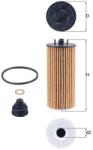 MAHLE Filtr Oleju Bmw (ox 815/1d)
