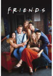 Pyramid FRIENDS IN CENTRAL PERK poszter (PP32138)