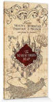 Pyramid Harry Potter (Marauders map) maxi poszter (PP33921)