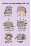 Pyramid Pusheen (REASONS TO BE A CAT) maxi poszter (PP34253)