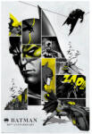 Pyramid Batman (80th anniversary) maxi poszter (PP34559)