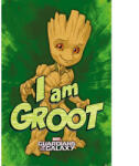 Pyramid GUARDIANS OF THE GALAXY (I AM GROOT) MAXI poszter (PP35043)