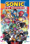 Pyramid Sonic the Hedgehog (SONIC COMIC CHARACTERS) maxi poszter (PP35202)