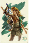 Pyramid The Legend of Zelda: TEARS OF THE KINGDOM (LINK UNLEASHED) maxi poszter (PP35325)
