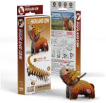 dodoland EUGY Skót-felföldi marha 3D puzzle (XEG-106)
