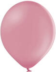 Balloons4party Set 25 baloane latex wild rose roz salbatic 13 cm