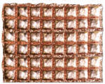 Balloons4party Panou decorativ baloane rose gold 116 x 90 cm