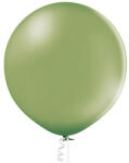 Balloons4party Balon latex jumbo verde rozmarin 60 cm