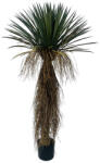 Bizzotto Planta Yucca artificiala in ghiveci 70x70x150h (0173144)