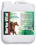  Promedivet Sampon Pentru Cai Herba Vital, 5 L