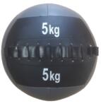 Dayu Fitness Minge de perete 10 kg Dayu Fitness Minge fitness