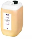 Comair M: C Sampon Tojásos - Száraz hajra 5000ml 2050096