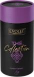 VEDDA Collection Tub Ceai Fructe de Padure (Forest Berry) Piramida 15*2.25gr