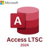 Microsoft Access LTSC 2024, 1 User, 1 Device, Perpetual (DG7GMGF0PN5J:0002)