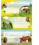 HERMA Herma: lovas füzet címke - pcx