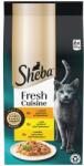 Sheba Fresh Cuisine Taste of Rome lében 3 x (6x50 g)