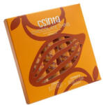 Csinta chocolate thins sárgabarack 5db-os 40 g - bioszallito