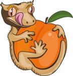  Blue River Diet - Barack ízesítéssel - 60g