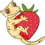  Blue River Diet - Eper ízesítéssel - 60g