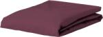 Essenza Cearșaf cu elastic Premium Percale 100 x 200 cm violet (400979-103-293)