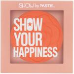 Pastel Blush Show By Pastel No. 206 Brave, 4.2g, Pastel