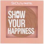Pastel Blush Show By Pastel No. 208 Cool, 4.2g, Pastel
