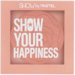 Pastel Blush Show By Pastel No. 203 Naive, 4.2g, Pastel
