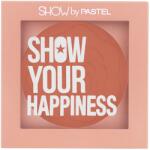Pastel Blush Show By Pastel No. 205 Cosy, 4.2g, Pastel