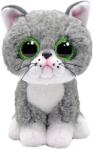  Plus Ty 15Cm Boos Pisicuta Gri Fergus (TY36581) - ejuniorul