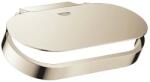GROHE 41069BE0 Selection Polished Nickel