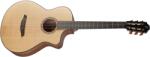 Furch GNc 2-SW CNR Active