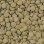 SERA Viformo Pleco Tabs 100 ml / 64 g