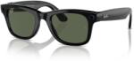 Ray-Ban Meta Wayfarer Shiny BLACK/GREEN (RW4006 601/71)