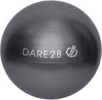 DARE 2B Gyakorlat labda kék|szürke