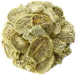 SvetPlodu Kiwi liofilizat - 8kg