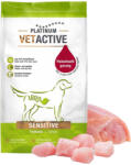 PLATINUM VETACTIVE Sensitive gyógytáp pulykahússal érzékeny emésztésű kutyának 5kg - pegazusallatpatika
