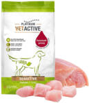 PLATINUM VETACTIVE Sensitive gyógytáp pulykahússal érzékeny emésztésű kutyának 1, 5kg - pegazusallatpatika