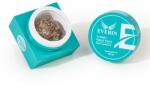 Everin Gel Design Artistic Metal Paste 01 - Everin (AMP-04)