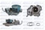 DOLZ Pompă de apă, răcire motor DOLZ J209 (J209)