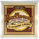 Ernie Ball 2010 Earthwood 80/20 Bronze 12-String Light