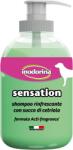 Inodorina Sampon Sensation cu extras de castraveti, pentru caini, 300 ml