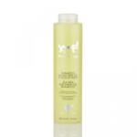Cosmetica Veneta Sampon Yuup Home Insectifug - 500ml