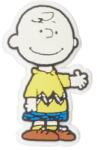 Crocs Jibbitz Jibbitz Crocs Peanuts Charlie Brown
